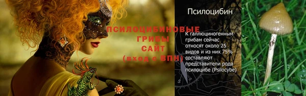 MDMA Алексин