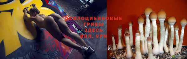 амф Алзамай