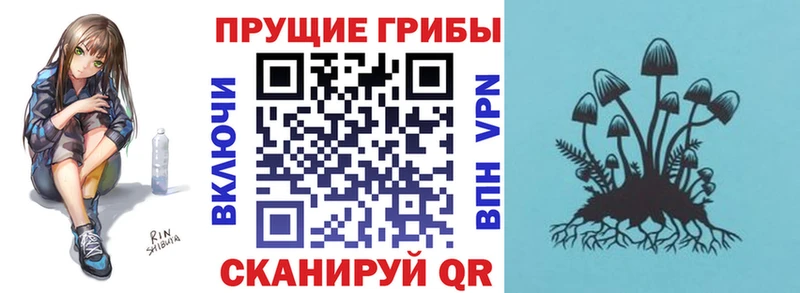 Псилоцибиновые грибы Magic Shrooms  Богородицк 